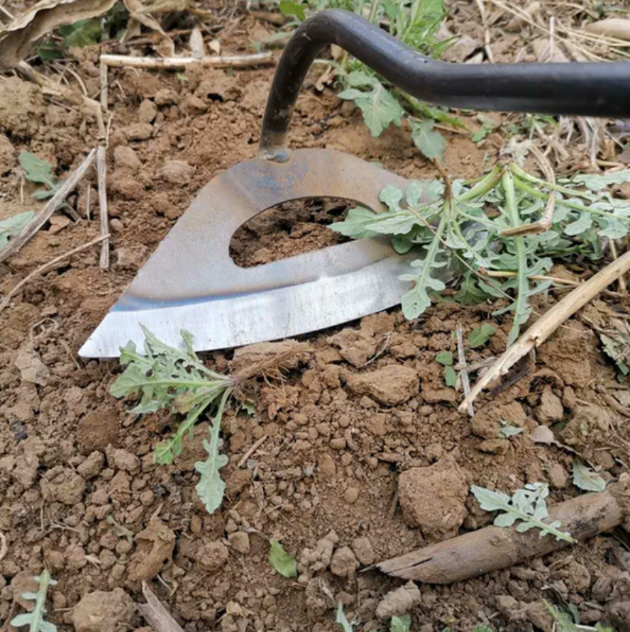 Raxiva-all steel hollow hoe for gardening