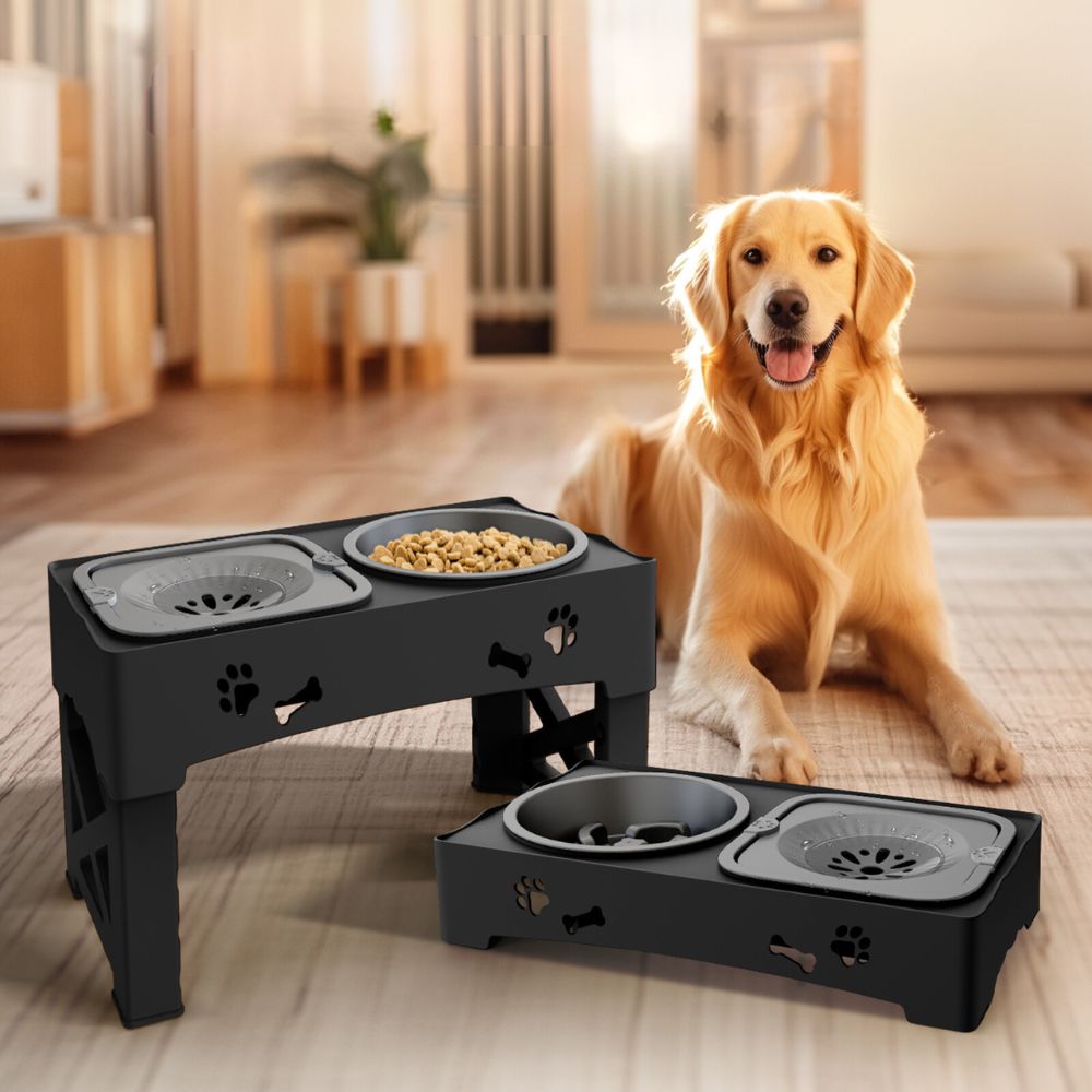 Raxiva-raised adjustable slow feeder for dogs