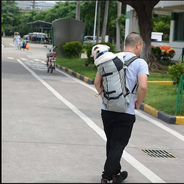 Raxiva-dog backpack carrier