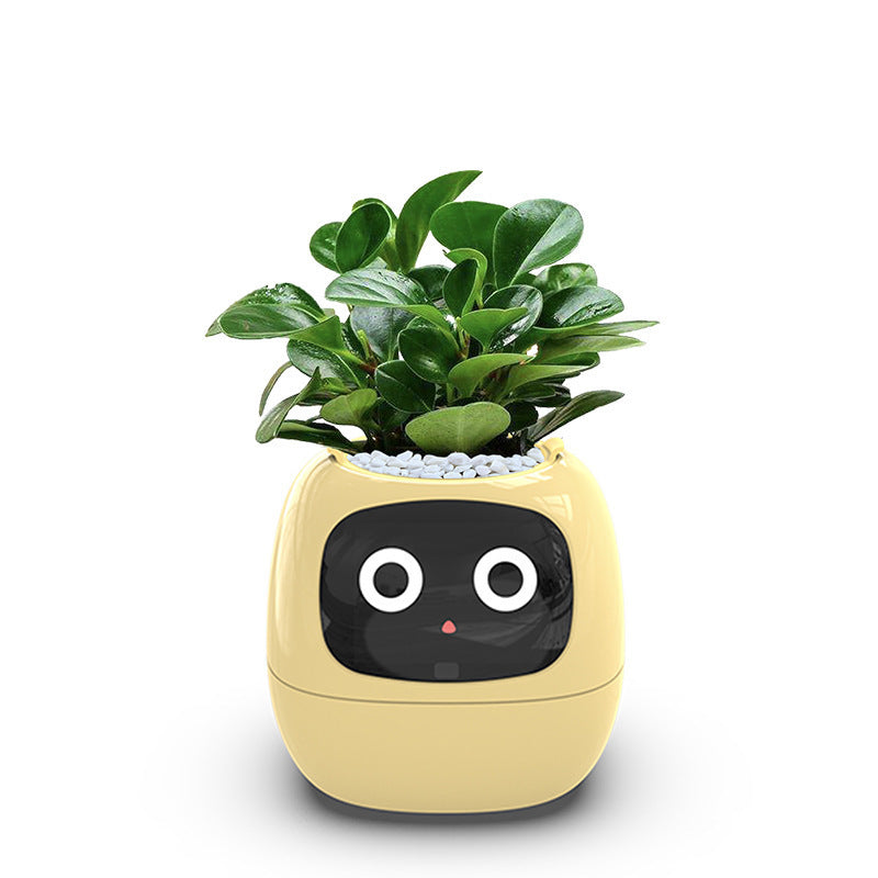 Raxiva-ivybot le compagnon vegetal revolutionnaire