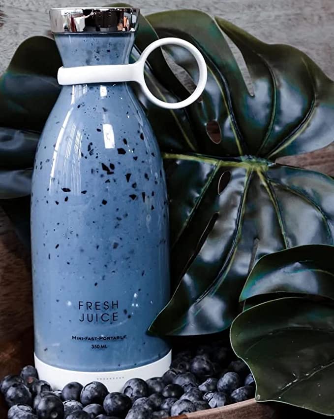 Raxiva-fresh juice portable mini blender usb chargeable