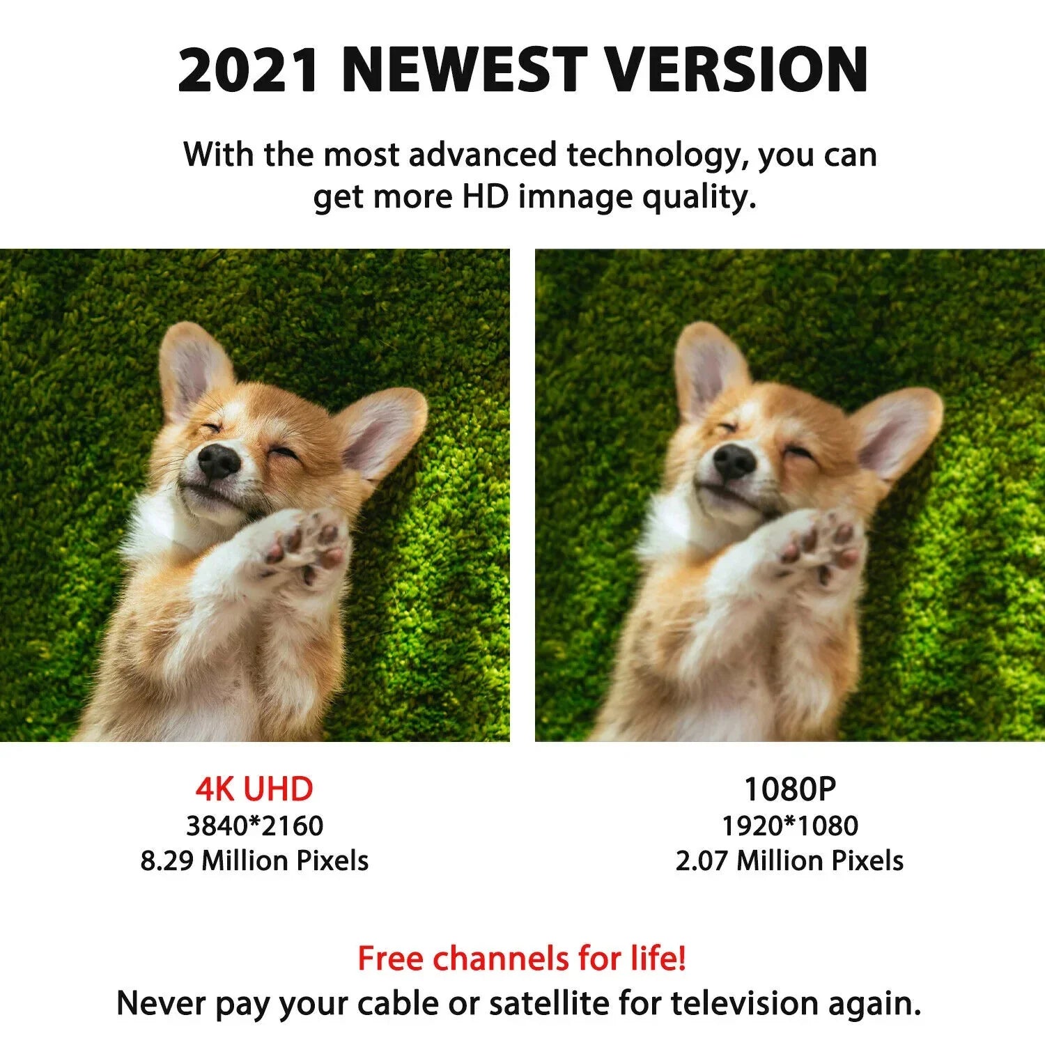 Raxiva-300 miles indoor digital amplified hdtv antenna signal booster