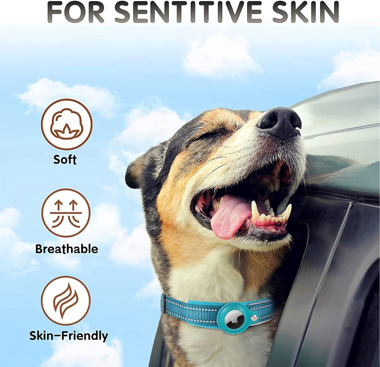 Raxiva-airtag dog collar