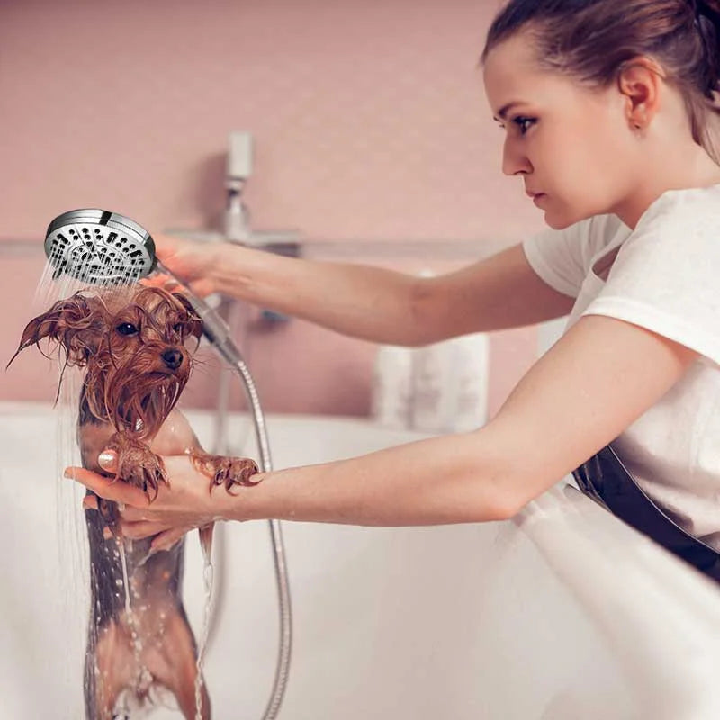 Raxiva shower head with two speed spray gun