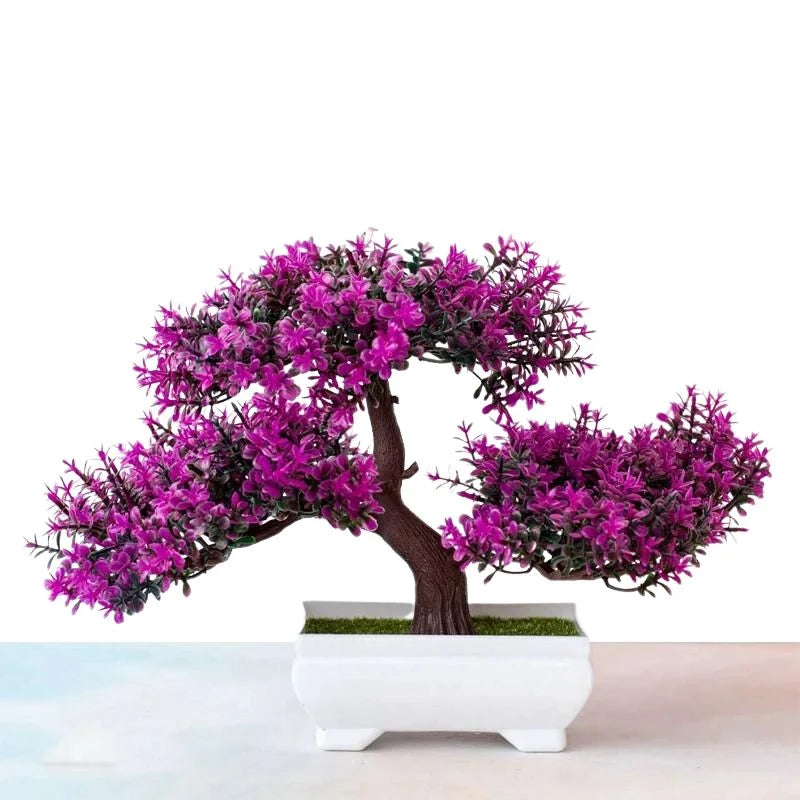 Raxiva bonsai decorative plants