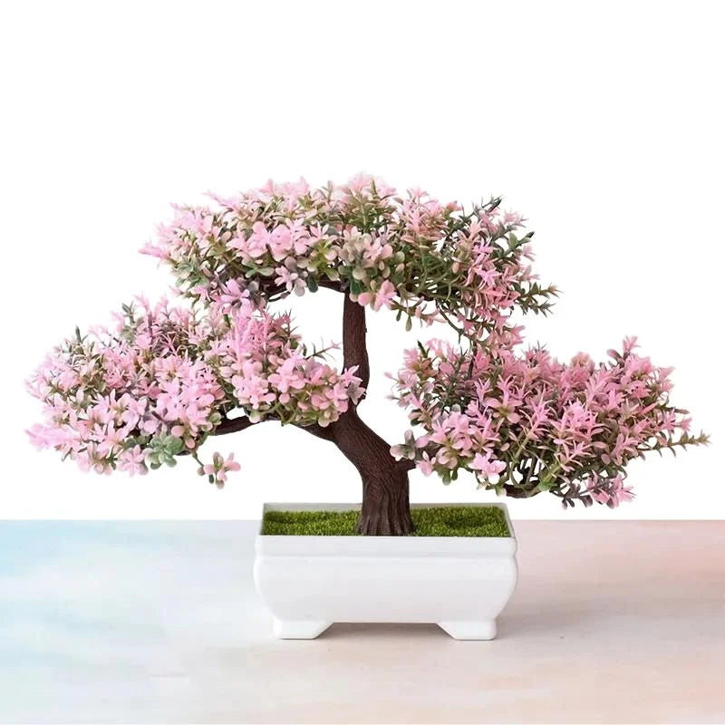 Raxiva bonsai decorative plants