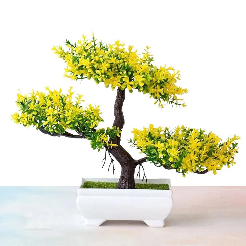 Raxiva bonsai decorative plants