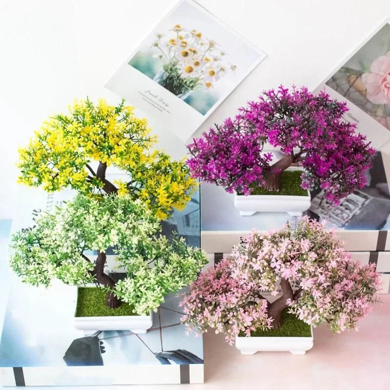 Raxiva bonsai decorative plants