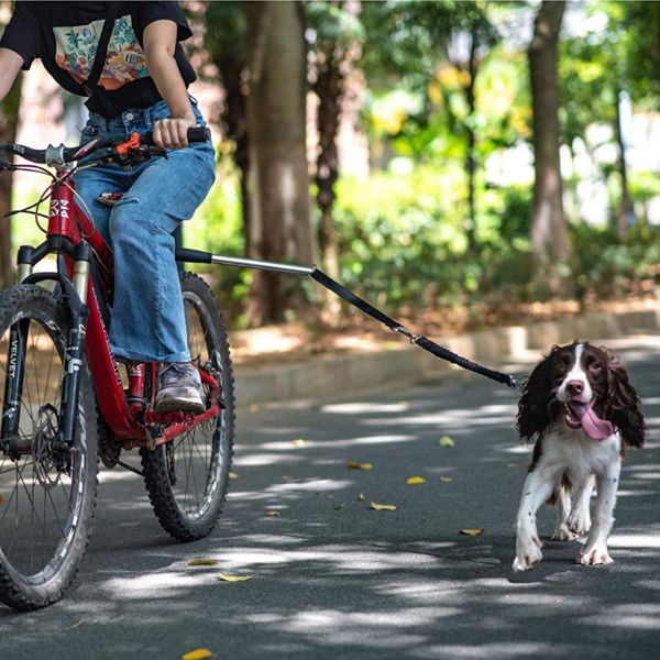 Raxiva-dog bicycle harness