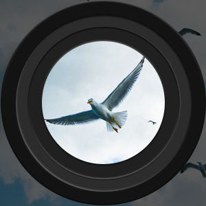 Raxiva-long range night vision binoculars