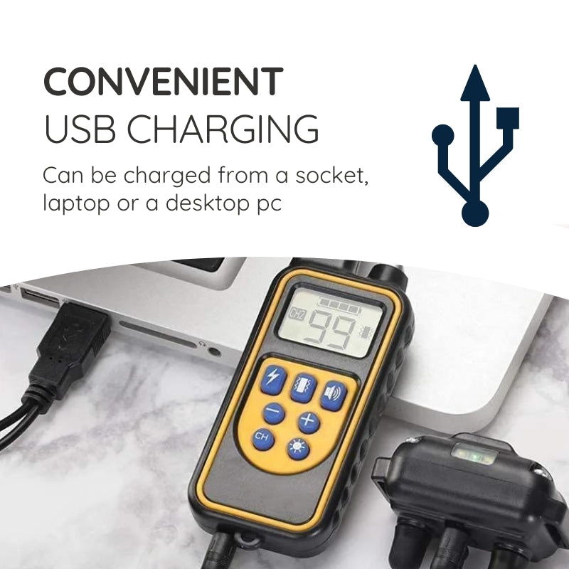 Raxiva remote dog training collar