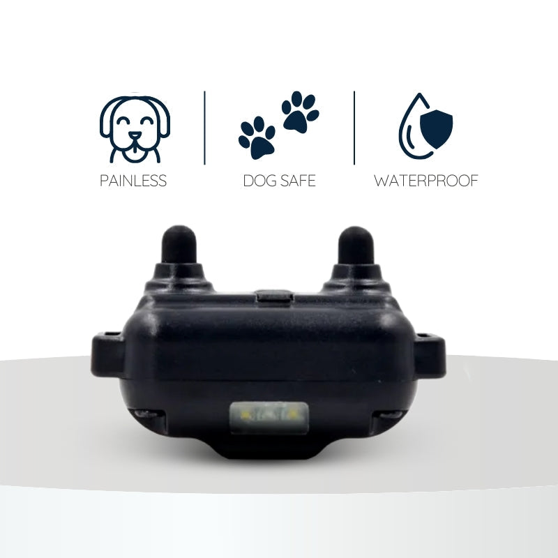 Raxiva remote dog training collar