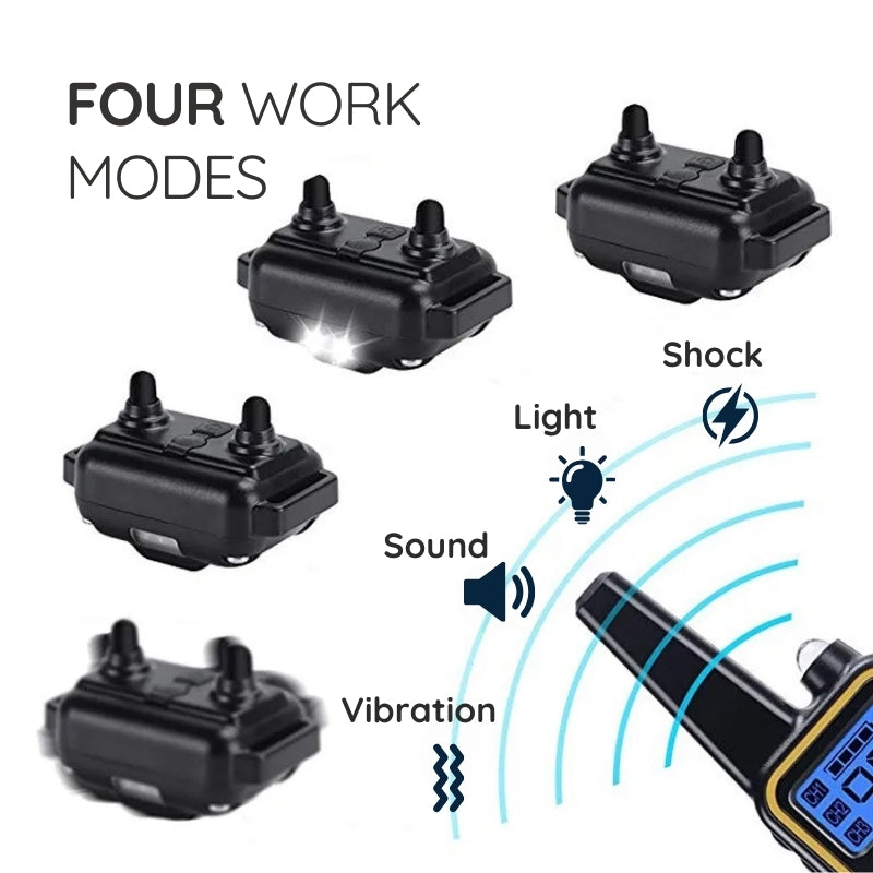 Raxiva remote dog training collar