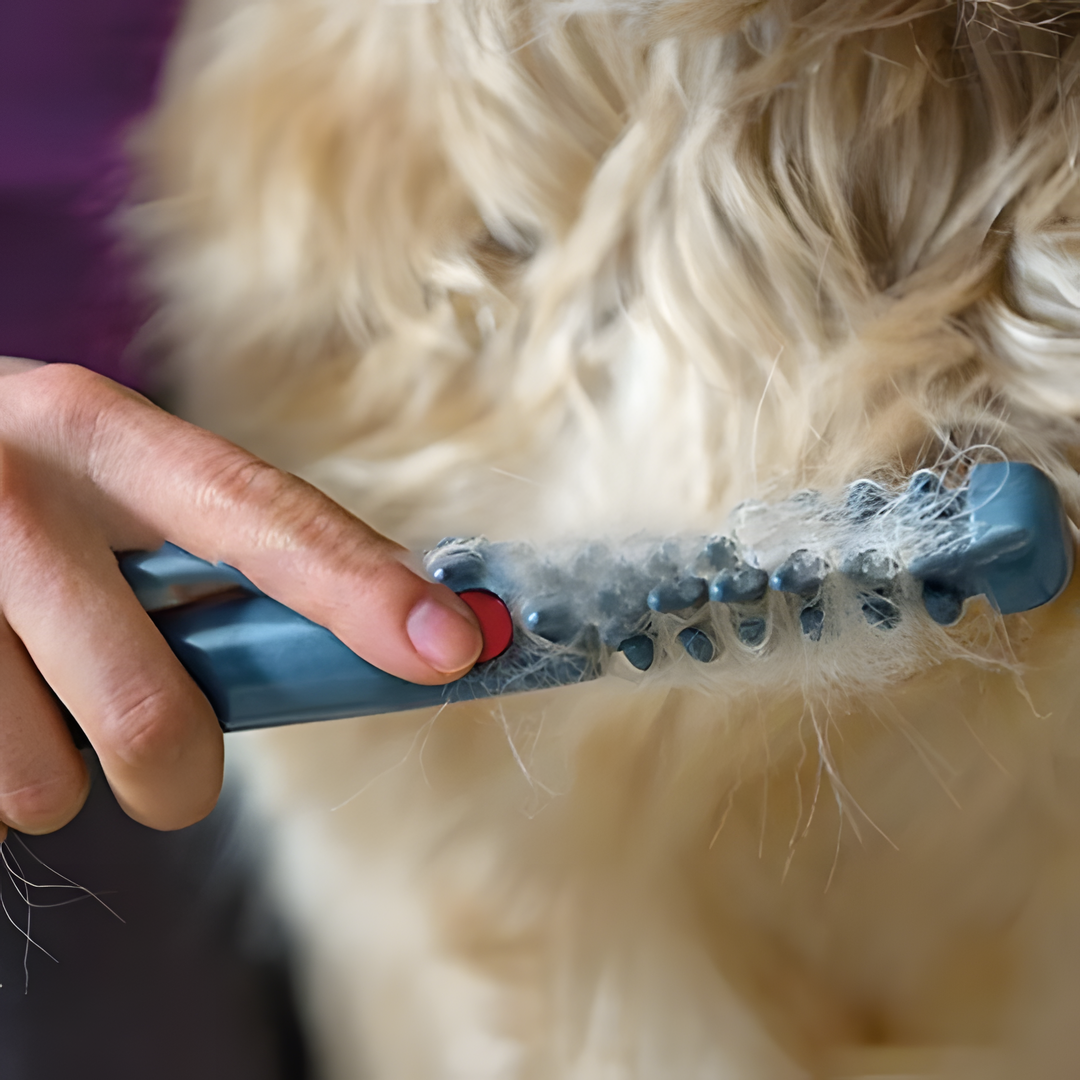 Raxiva-no more tangles and knots for your pet