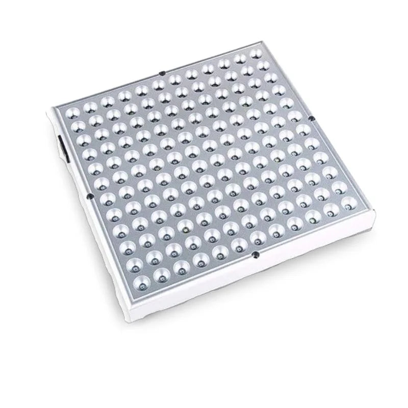 Raxiva growth led light