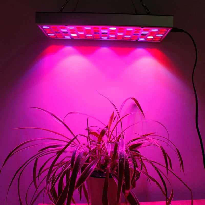 Raxiva growth led light