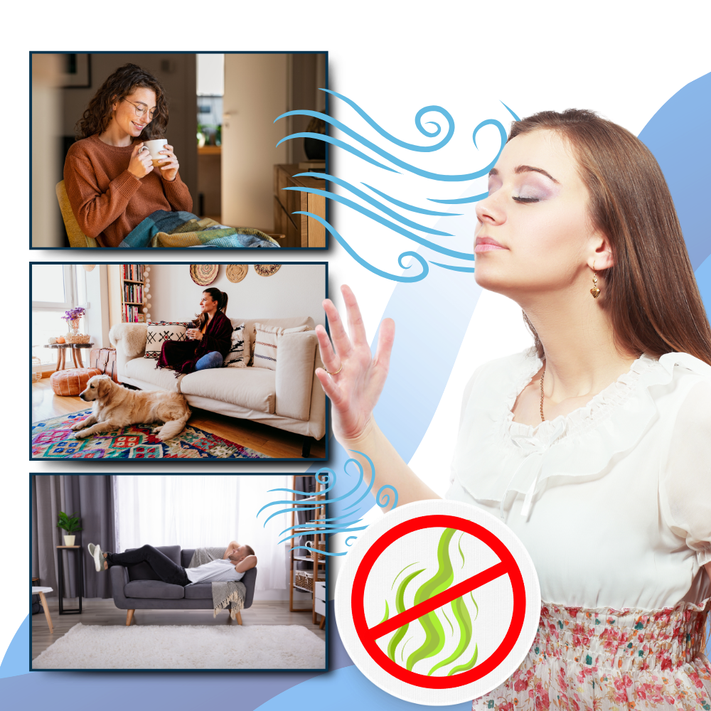 Multi-Surface UV Disinfectant Bulb-Raxiva-SKU38841708286148669CLEANING7491683090493, Multi-Surface UV Disinfectant Bulb, , Raxiva, CLEANING,