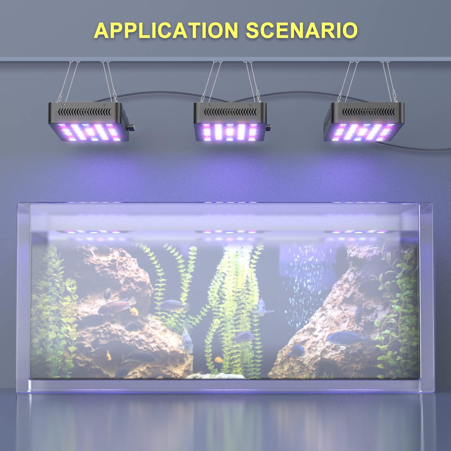 Programmable Full Spectrum LED Aquarium Lights-Raxiva-SKU38841708203376701Programmable Full Spectrum LED Aquarium Lights7491668705341, Programmable Full Spectrum LED Aquarium Lights, , Raxiva, Programmable Full Spectrum LED Aquarium Lights,