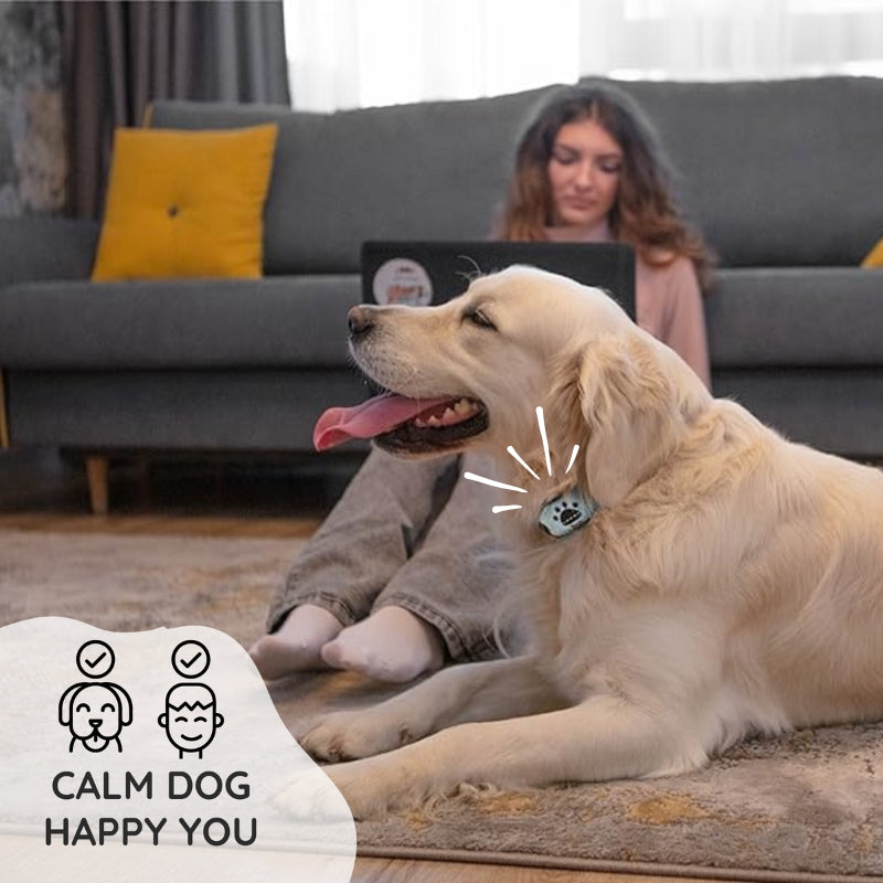 Raxiva - Humane No Shock Bark Collar