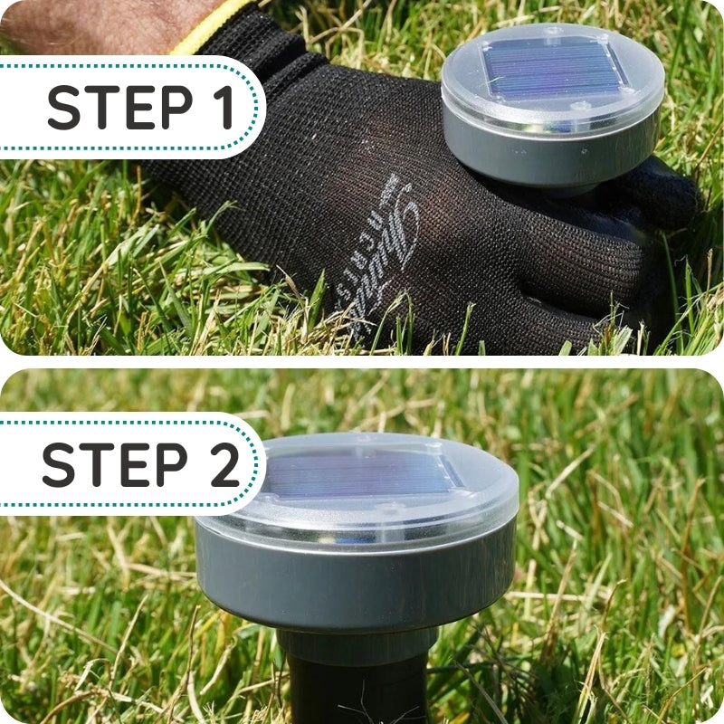 Raxiva - Infrared Solar Powered Underground Repellent