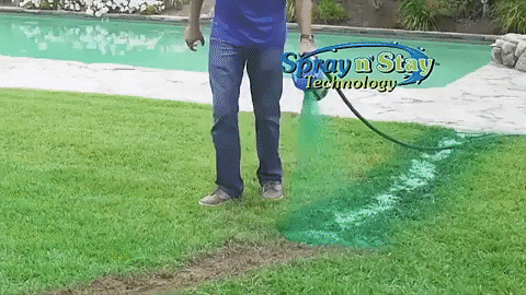 Raxiva - Liquid Lawn Fertilizer Formula