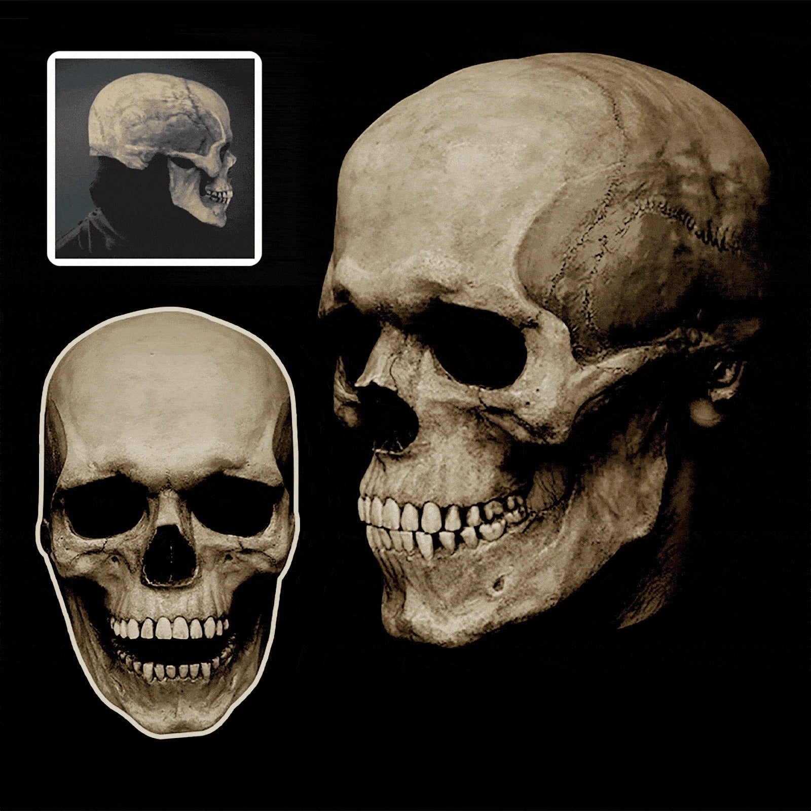 Raxiva - Movable Mouth Skull Mask - Halloween Full Head Skull Mask