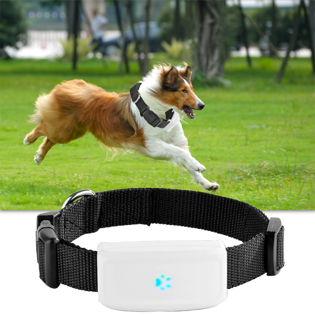 Raxiva - Pet GPS Tracking Collar