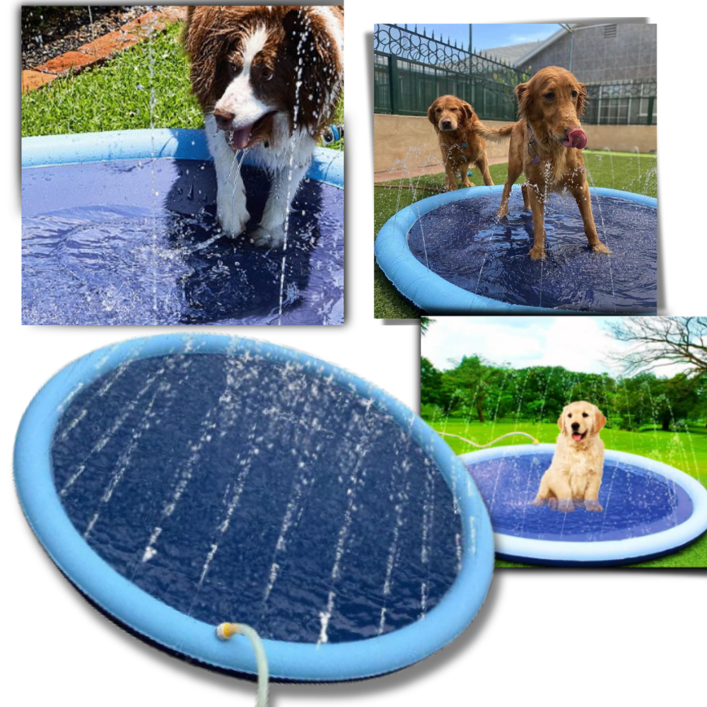 Raxiva - Portable Dog Splash Pad