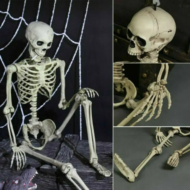 Raxiva - Poseable Skeleton - Creepy Halloween Decor