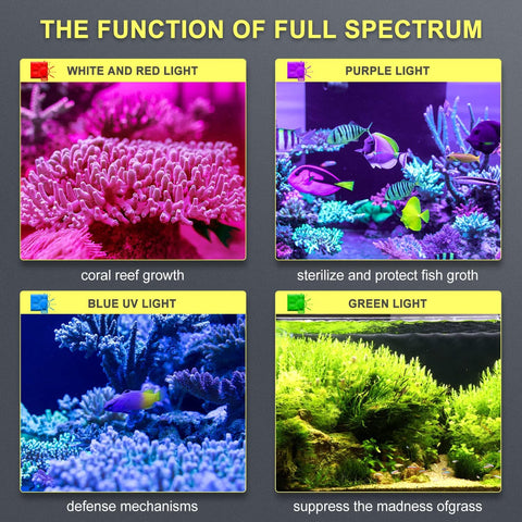 Raxiva - Programmable Full Spectrum LED Aquarium Lights