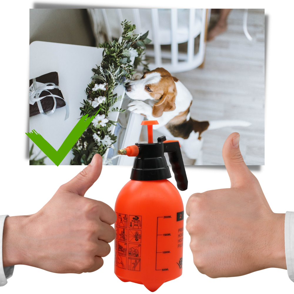 Raxiva - Pump Garden Sprayer