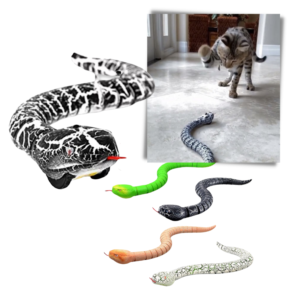 Raxiva - Remote control interactive snake toy for cat