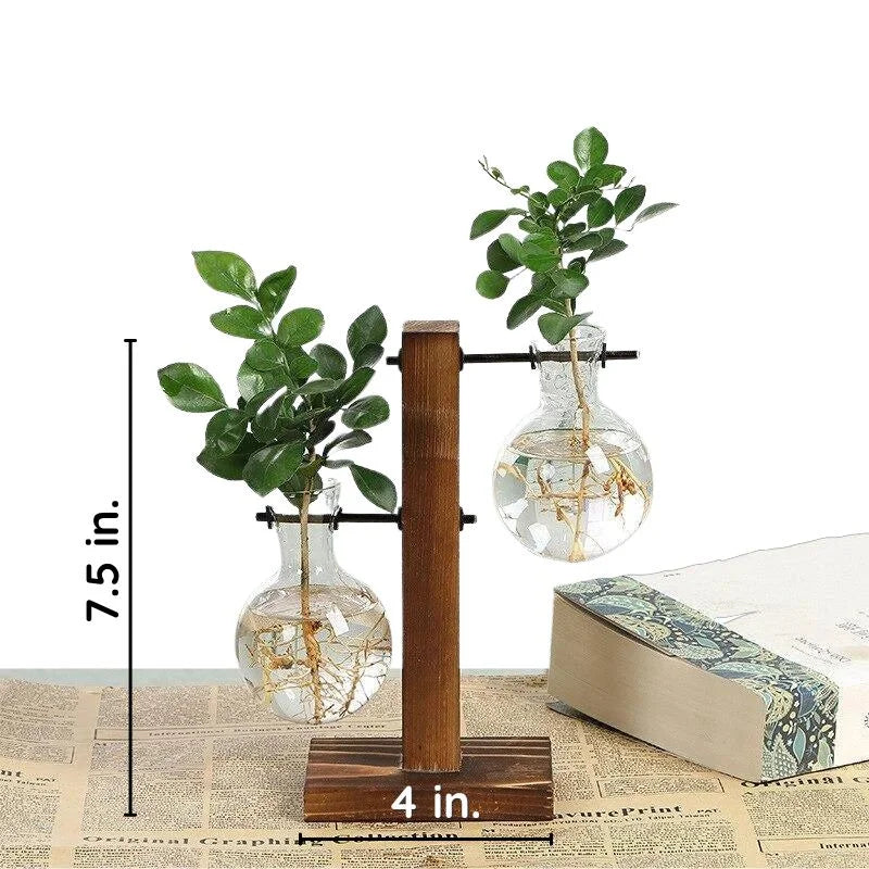 Raxiva wooden frame hydroponic plant holder