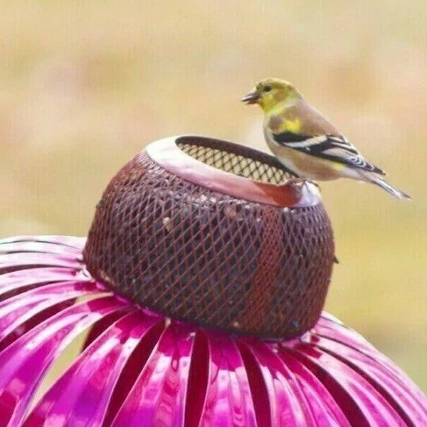 Raxiva-coneflower bird feeder