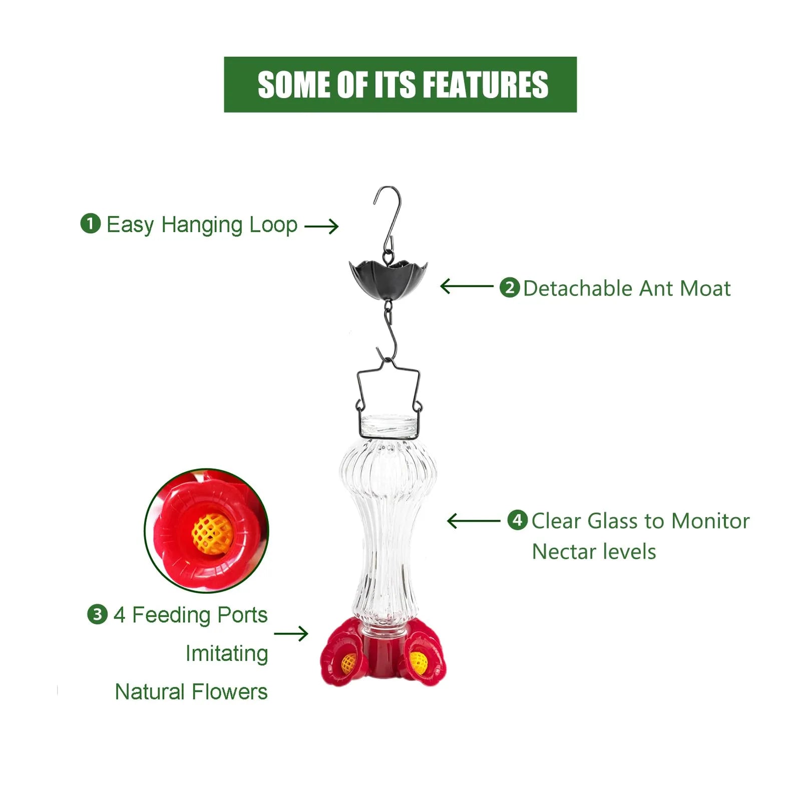 Raxiva-hummingbird feeder glass with flowers and ant moat