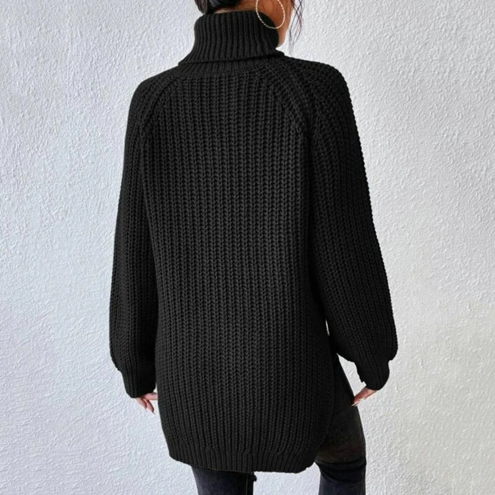 Raxiva-turtleneck sweater