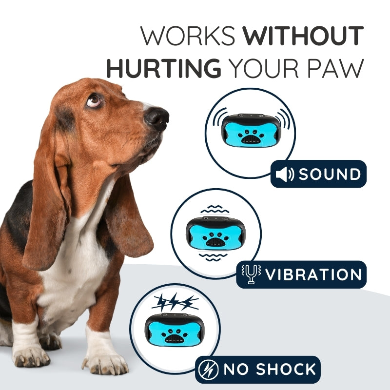 Raxiva humane no shock bark collar