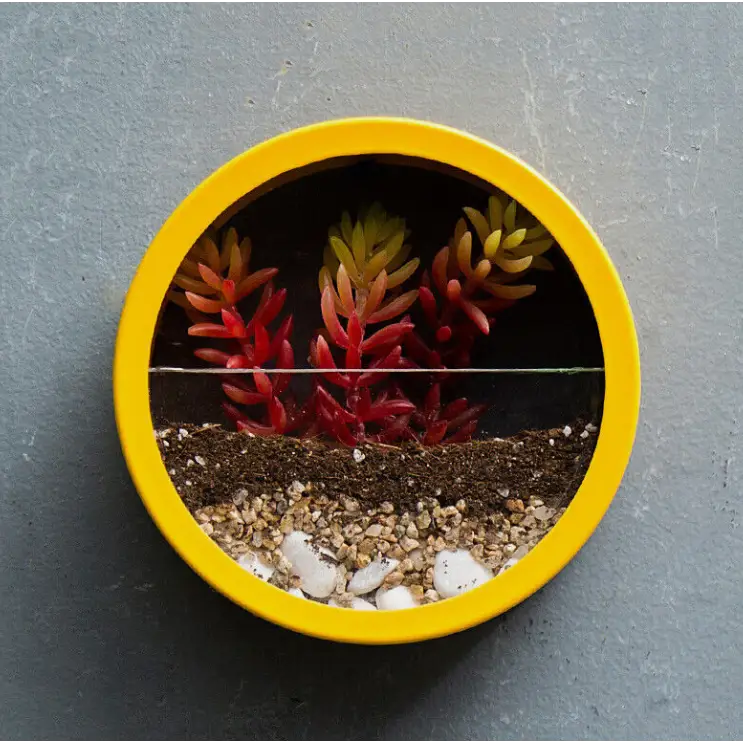 Raxiva-pot de fleurs mural chic