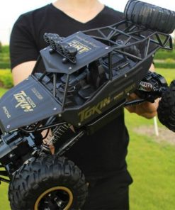 Raxiva-4 4 rock crawler monster truck